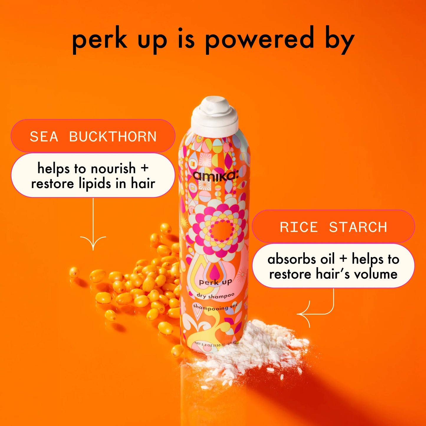 AMIKA: Perk Up Talc-Free Shampoo