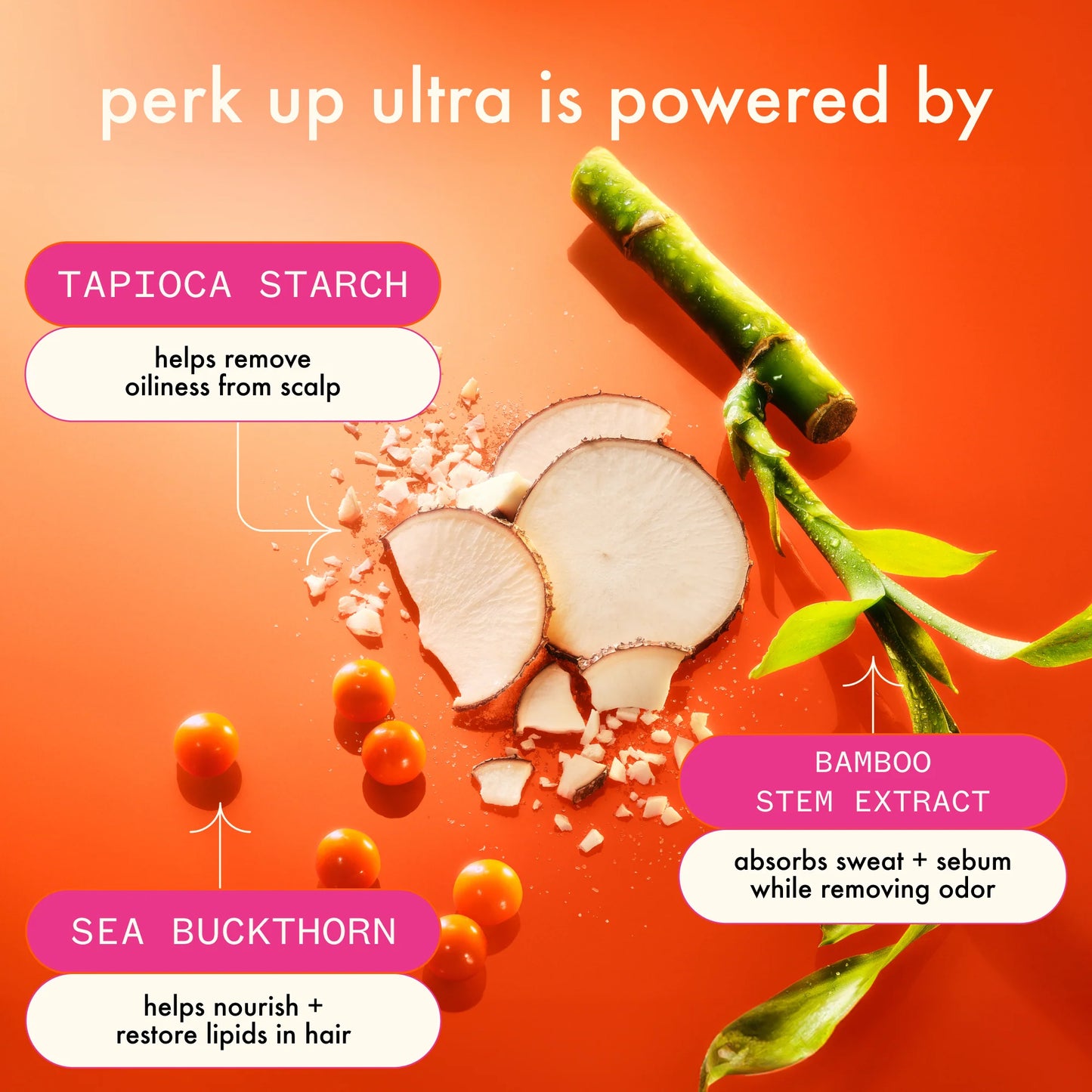 AMIKA: Perk Up Ultra Oil Control Dry Shampoo