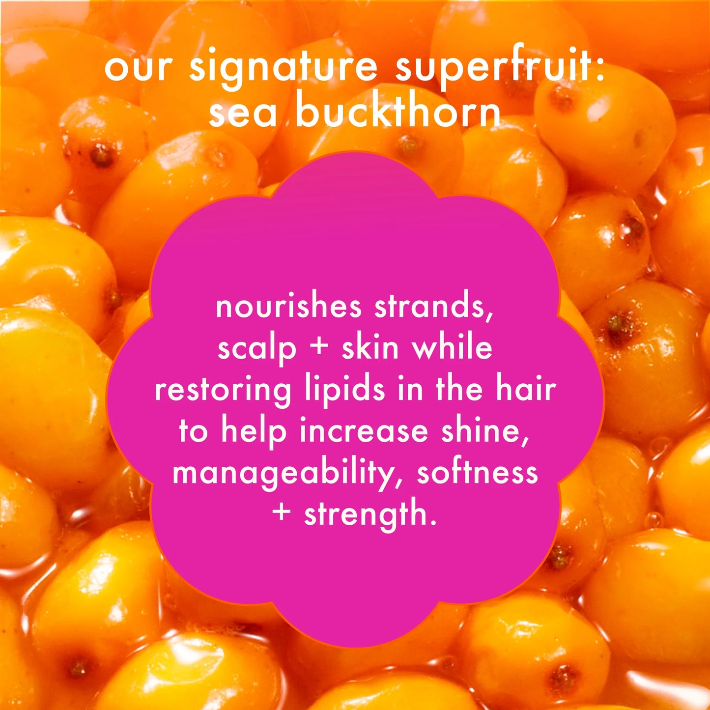 AMIKA: Supernova Moisture and Shine Cream